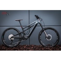Canyon Torque ON 8 2022
