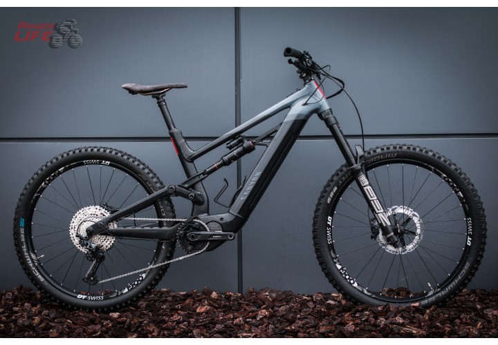 Canyon Torque ON 8 2022
