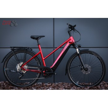 Pegasus Premio EVO 10 Lite