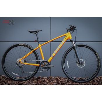 Trek 2021 Dual Sport 3