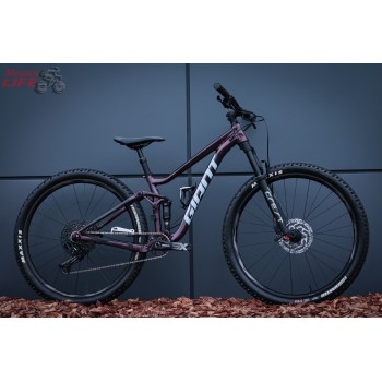 Giant Stance 29