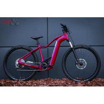 Bergamont E-Revox Pro FMN