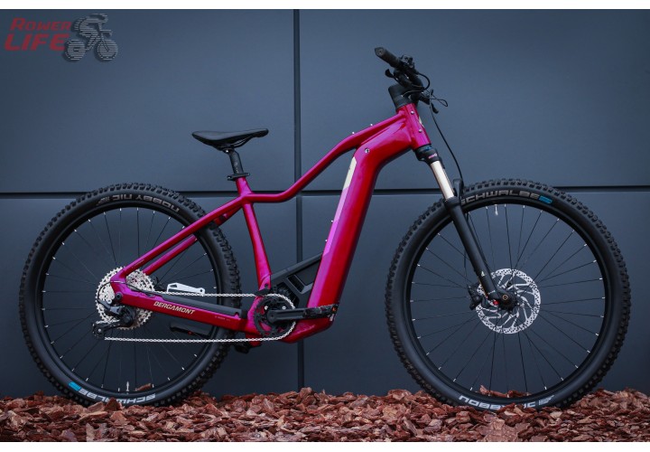 Bergamont E-Revox Pro FMN