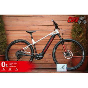 Mondraker Faherwerk Prime 29