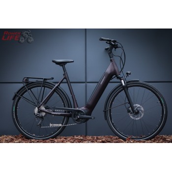 Giant DailyTour E+