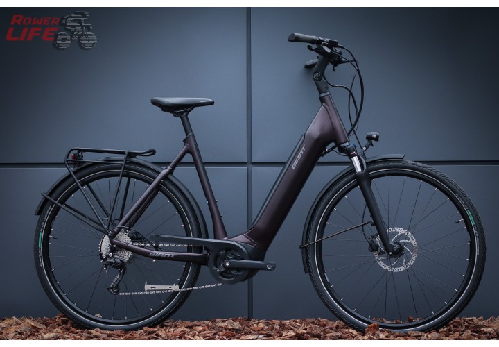Giant DailyTour E+