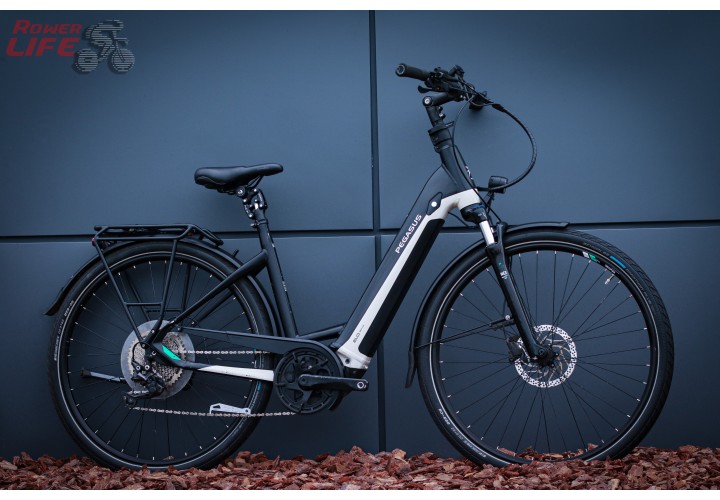 Pegasus Premio EVO 10