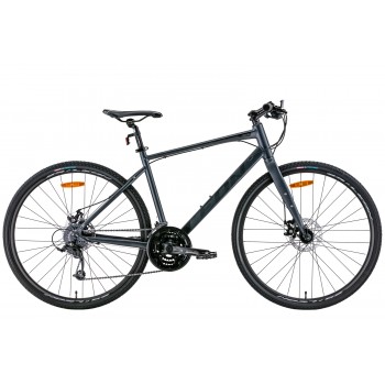 Leon HD-80 DD 2022