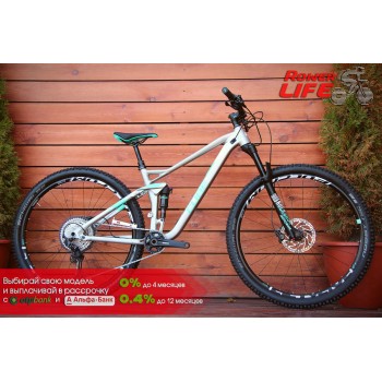 CUBE Sting WS 120 Pro
