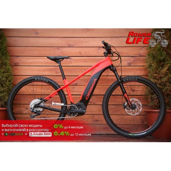 Orbea Wild HT 40 29S