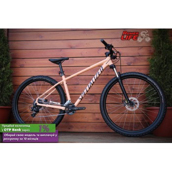 Specialized Rockhopper Cream