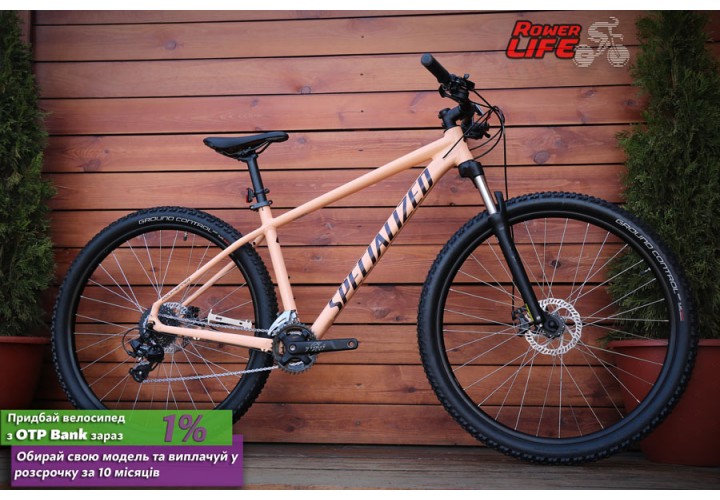 Specialized Rockhopper Cream
