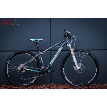 Bianchi Jab 29.2