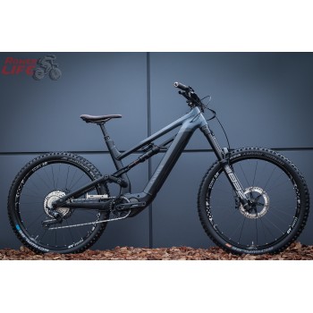 Canyon Torque ON 8 2022