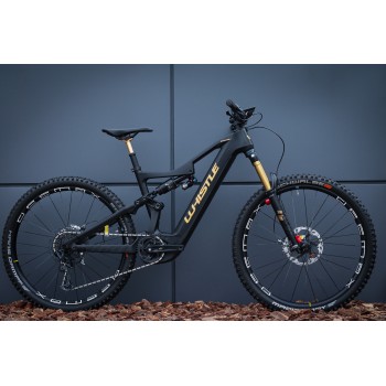 Карбоновый электровелосипед Whistle B-Rush 2022 GX BLK/KAS