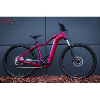 Bergamont E-Revox Pro FMN
