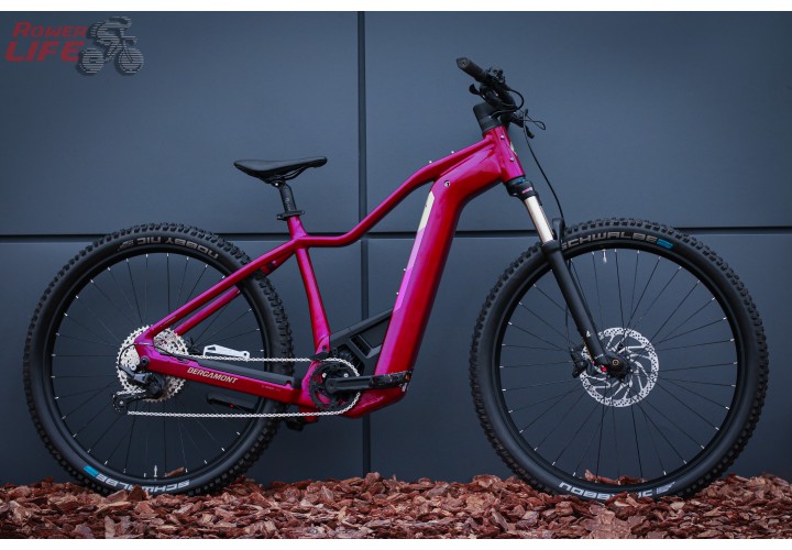 Bergamont E-Revox Pro FMN