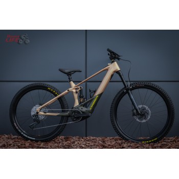 Orbea Wild