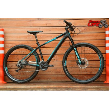 Bergamont ROXTER EDITION