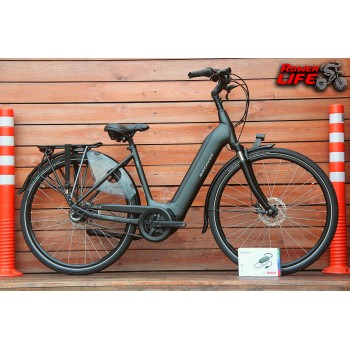Batavus Finez