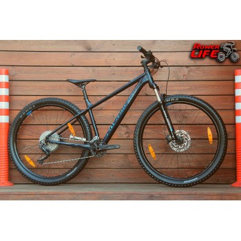 Bergamont Revox 5 29 2021