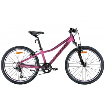 LEON JUNIOR AM VBR 2022