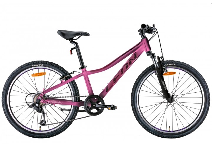LEON JUNIOR AM VBR 2022