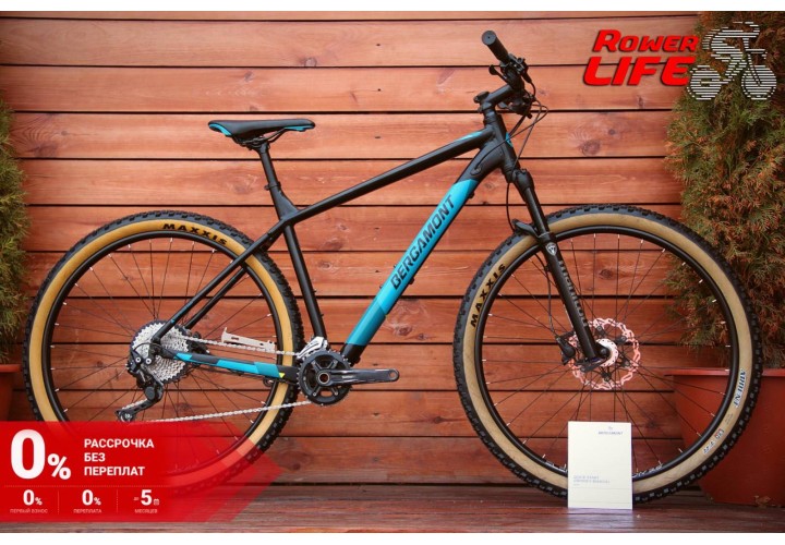  Bergamont Revox Custom