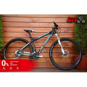Bergamont Revox 8.3